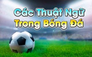 Các thuật ngữ cá cược bóng đá về kèo cược